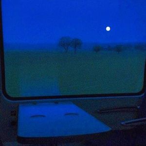 青青草视频官网
