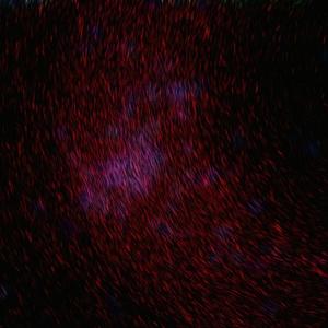 青青草视频官网
