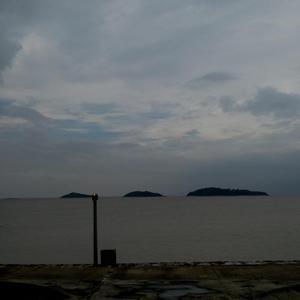 青青草视频官网
